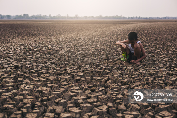 Climate change, Asian boy planting tree on dry cracked land. Environment conservation and stop globa