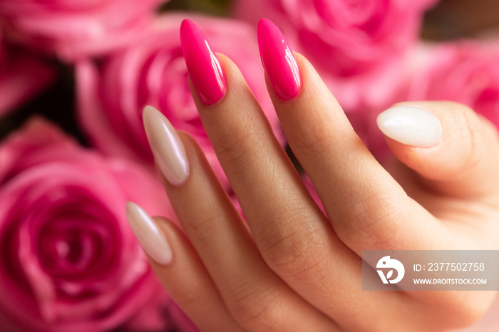 Girl`s hand with a bright manicure in a pink and pearl white colors on the roses background