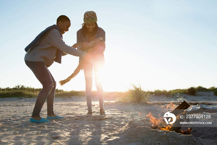 Two friends on beach, holding wood for camp fire