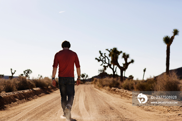 Young man walking away along desert road