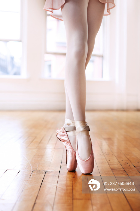 Young ballet dancer standing on tiptoes