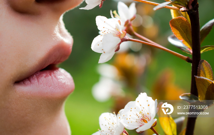 The half-open mouth of the girl who inhales the fragrance of cherry blossoms