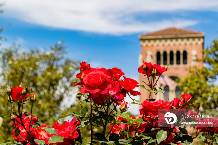 Sunny view of the campus of the University of Southern California