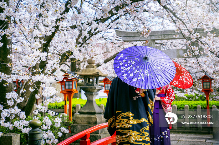 游客穿着日本传统和服，春天樱花盛开，日本京都寺。