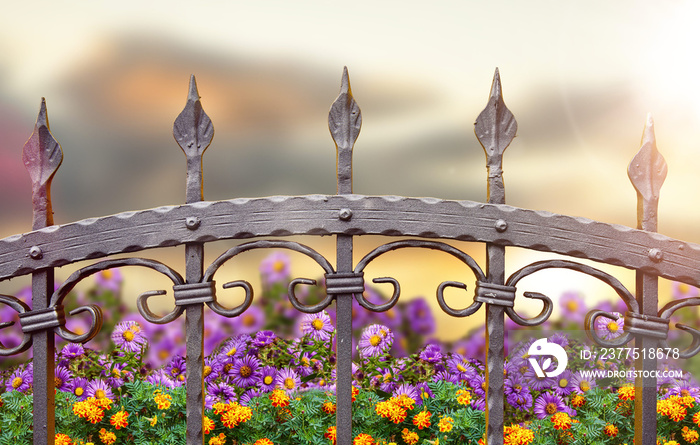 wrought iron fence and flowers at sunset sky