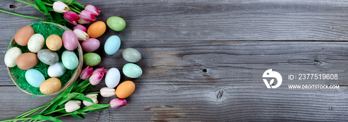 Happy Easter holiday season with basket of eggs plus grass and tulip flowers blossoms on rustic wood