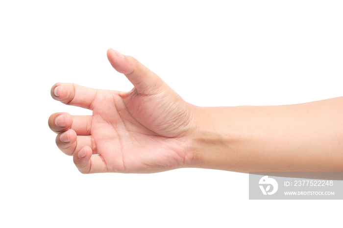 Hands holding something on white background with clipping path.