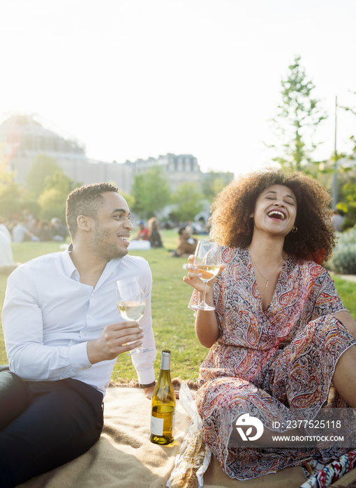 Happy couple with wineglasses talking while sitting on blanket against clear sky in park