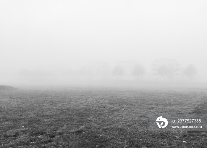 秋天的风景。雾蒙蒙的早晨。黑白。手机摄影。