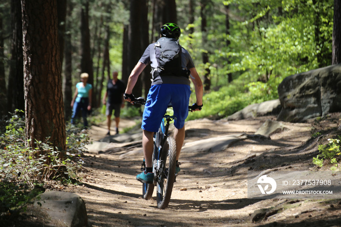 Typische Konfliktsituation im Wald: Mountainbiker begegnet Wanderern