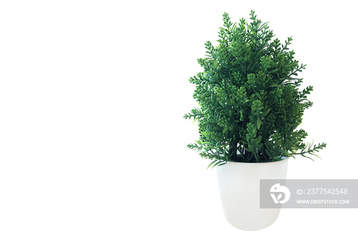 Mini green tree bush potted plant, green leaves fake plant in white pot for indoors room decor isola