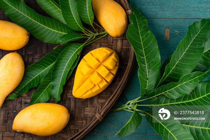 Close-Up Of Mangoes on the leaf