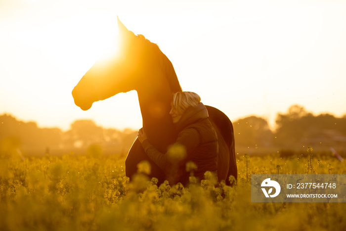 Pferd und Reiterin im Sonnenuntergang im Rapsfeld