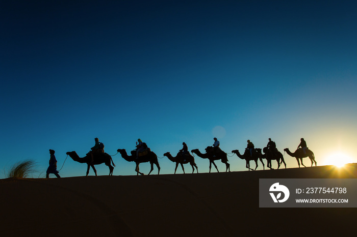 Sillhouette of camel caravan going through the desert at sunset.