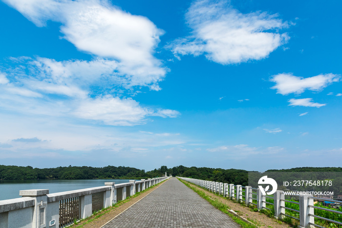 (埼玉県-風景)狭山自然公園の遊歩道風景４