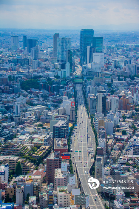 東京都心部の風景