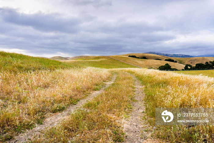 Walking trail among hills and valleys covered in dry grass, south San Francisco bay area, San Jose, 