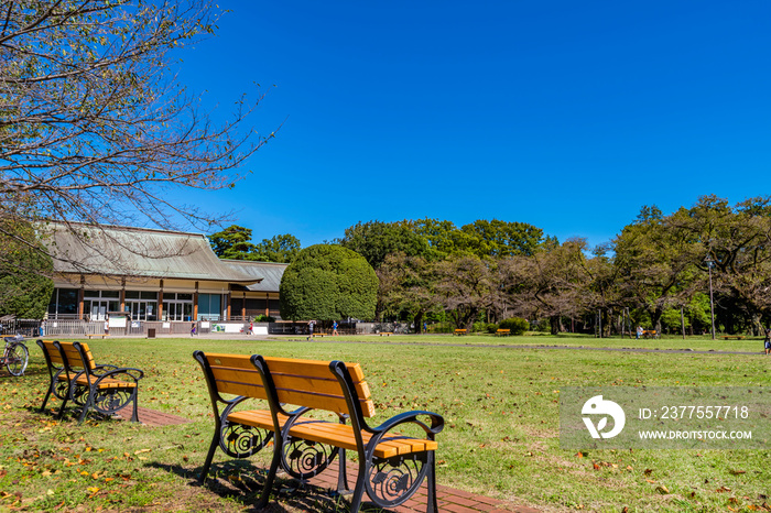 東京武蔵野 小金井公園の風景