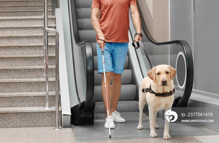 盲人带导盲犬靠近自动扶梯