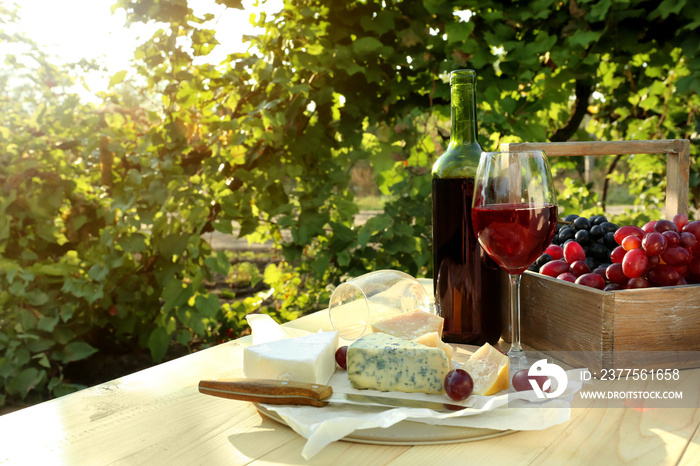 葡萄园餐桌上的一杯和一瓶红酒配奶酪