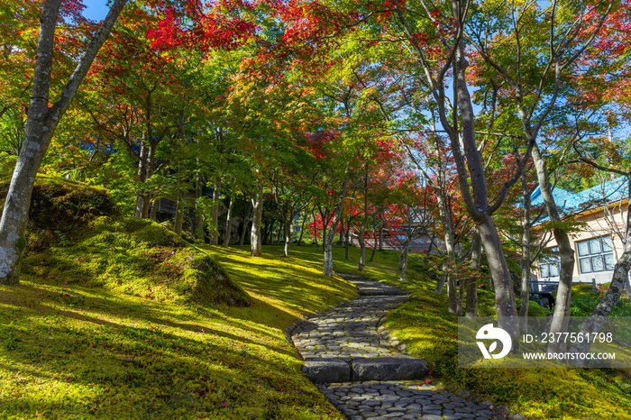 紅葉の箱根美術館　神奈川県箱根町