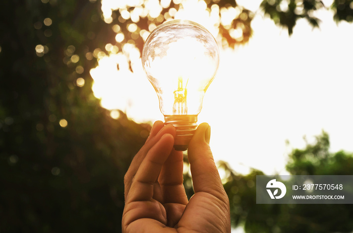 hand holding light bulb with sunset power energy concept