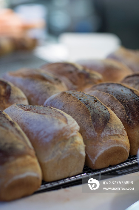 Close up fresh baked bread loves on rack