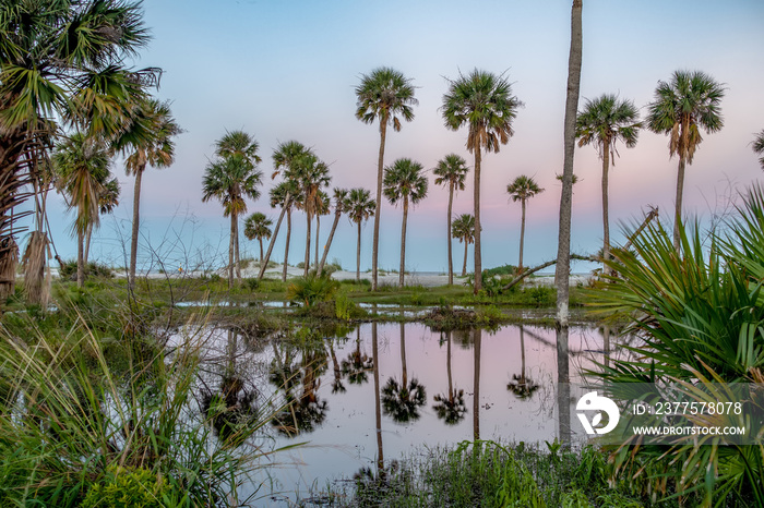 scenes around hunting island south carolina in summer