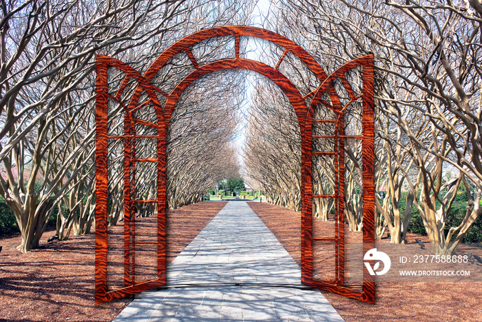 Gateway through Trees.