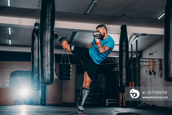 Male boxer in boxing gloves training with punching bag