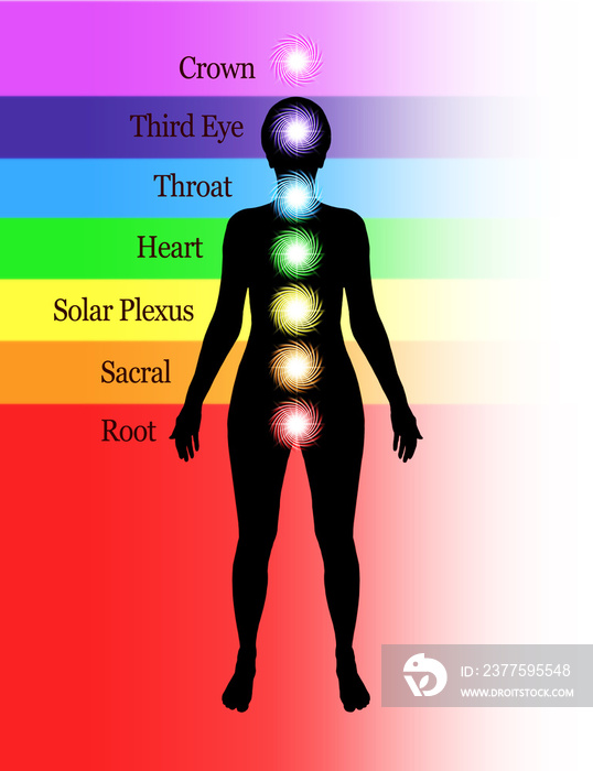 七大脉轮图-显示七个人类脉轮及其受体位置的简单图表