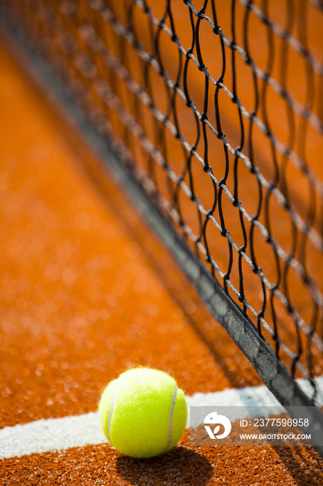 网球-网球场上的网球