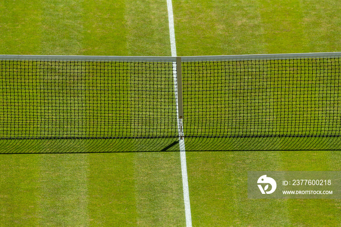 Tennis lawn Court, net grass and baseline