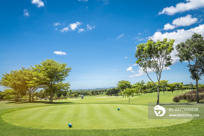 Green grass and trees at golf course with blue cloud sky background