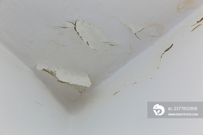 Ceiling With Peeling Paint, Water Infiltration