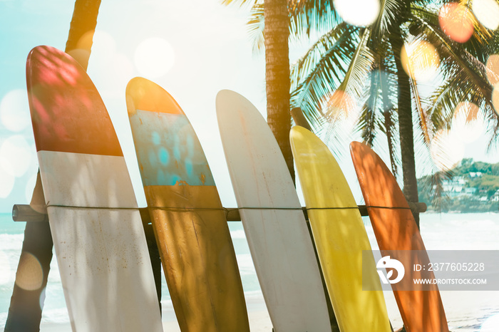 Many surfboards beside coconut trees at summer beach with sun light and blue sky background.