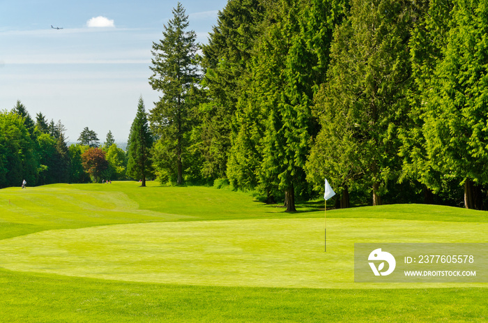 Golf course with gorgeous green and flag