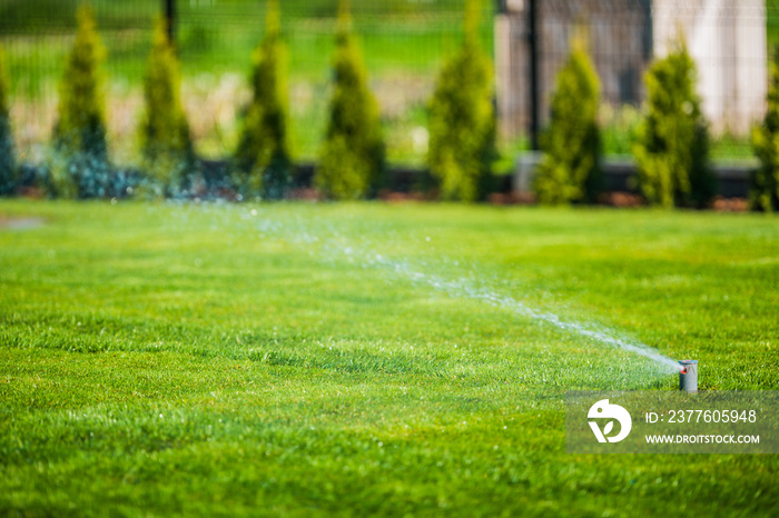 Sprinkler System Moisturizing Green Grass And Shrubs.