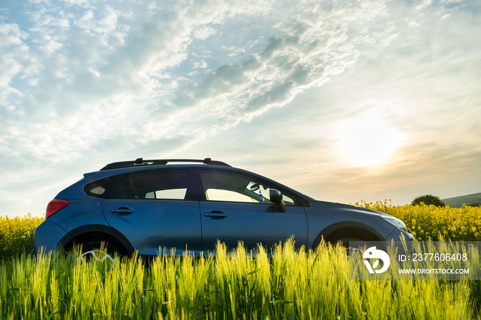 Subaru Crosstrek car at sunrise on farmland field. Traveling by auto, adventure in wildlife, expedition or extreme travel on SUV. Offroad 4x4 vehicle under clear morning sun