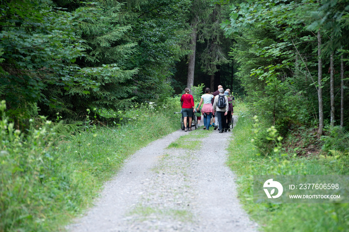 Eine Gruppe von Menschen wandert durch den Wald