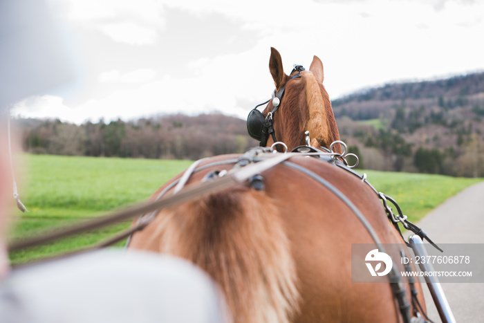 Pferd läuft vor Kutsche