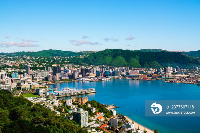 Wellington, New Zealand. Morning view of Wellington city  buildings and harbour viewed from Mount Victoria. Wellington is the Capital of NZ.