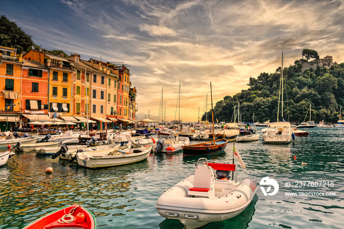 boats in the harbor of portofino