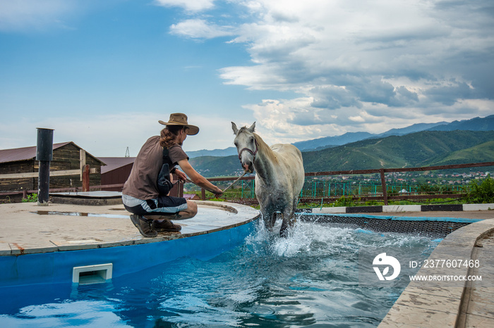 horse in the pool