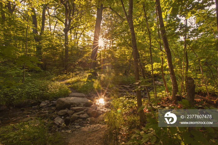 Sunset in Springside Park in Pittsfield, Massachusetts.