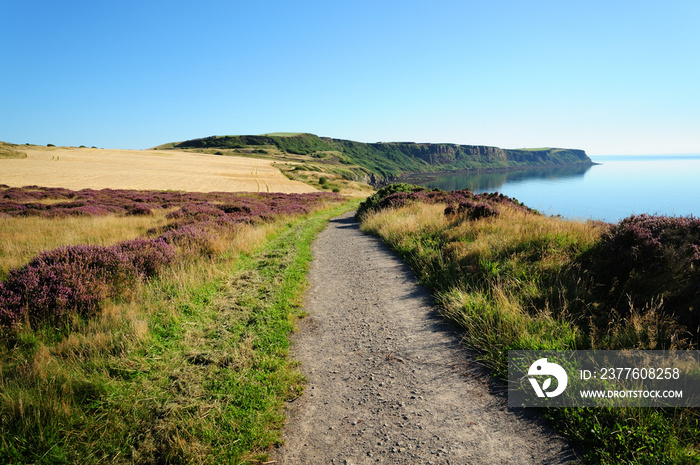 A clifftop scene outside Whitehaven, Cumbria, England