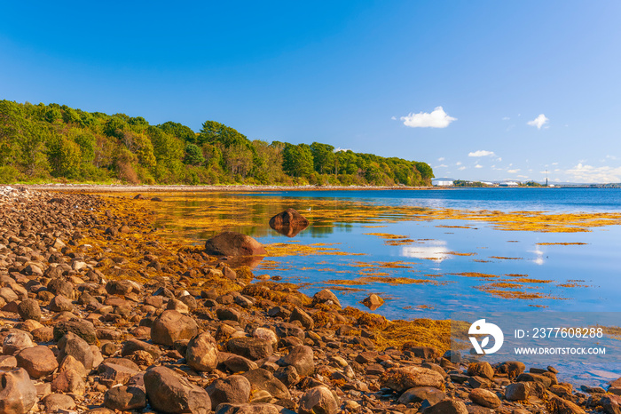 Rocky coastline of Penobscot Bay in Moose Point State Park.Maine.USA