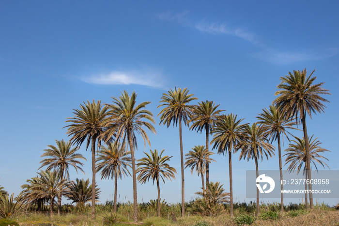 Vega Baja del Segura - Torrevieja - Un oasis junto al mar en Cala Ferris