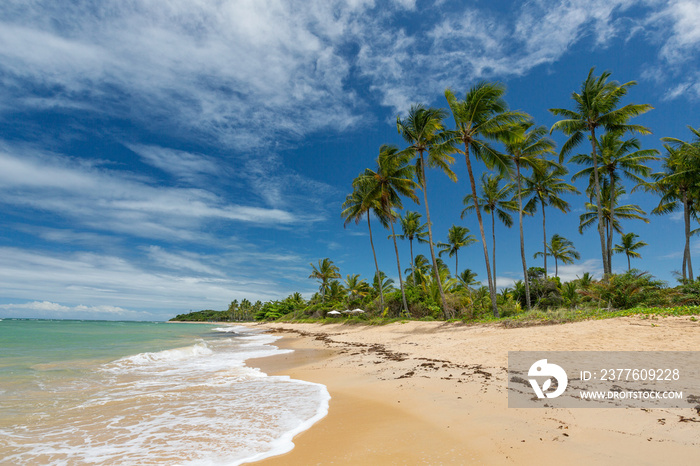 Tropical beach with coconut tree