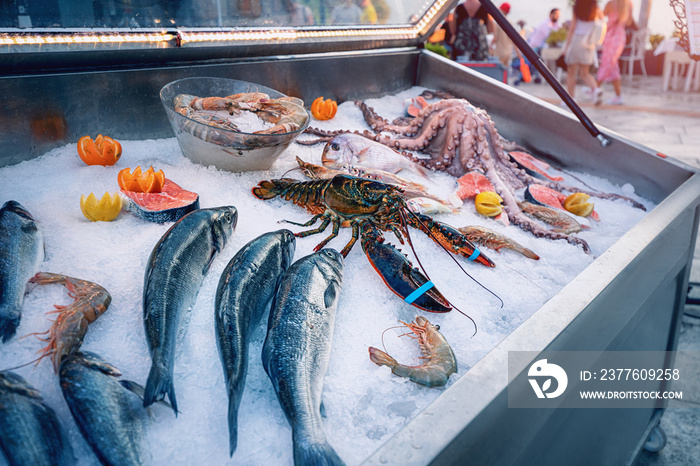 assortment of fresh fish and seafood for sale on display with ice. Healthy mediterranean diet. Lobster and octopus delicacy